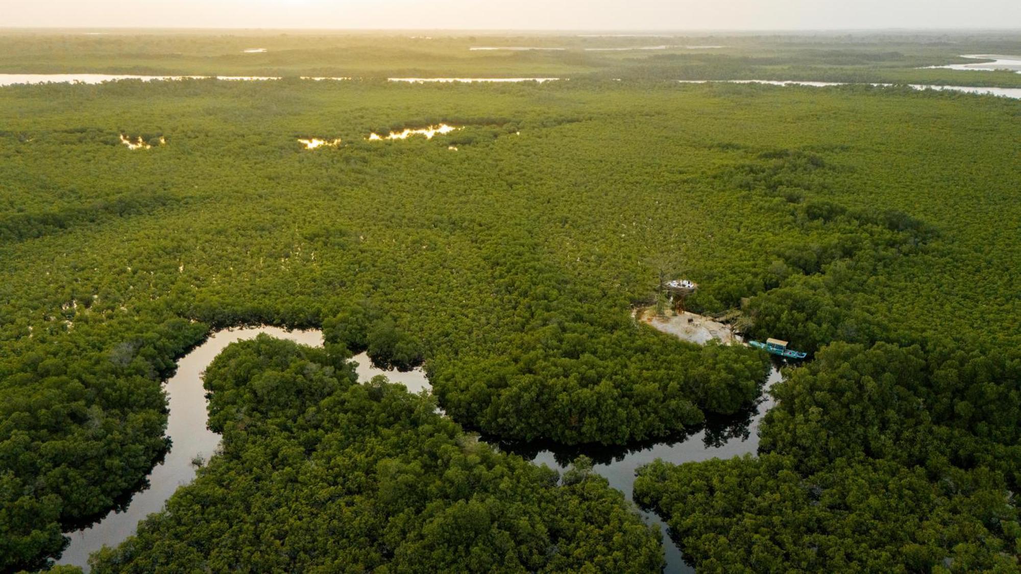 Les Paletuviers Hotel Toubakouta Kültér fotó